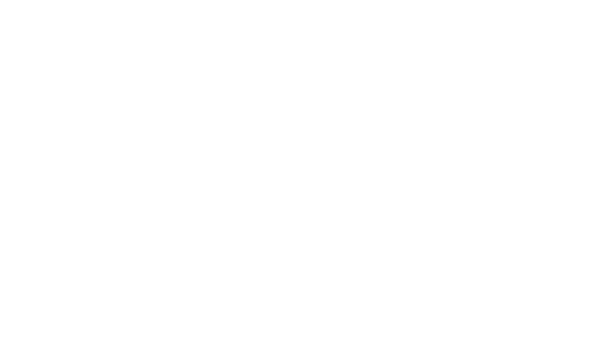 Bache Group