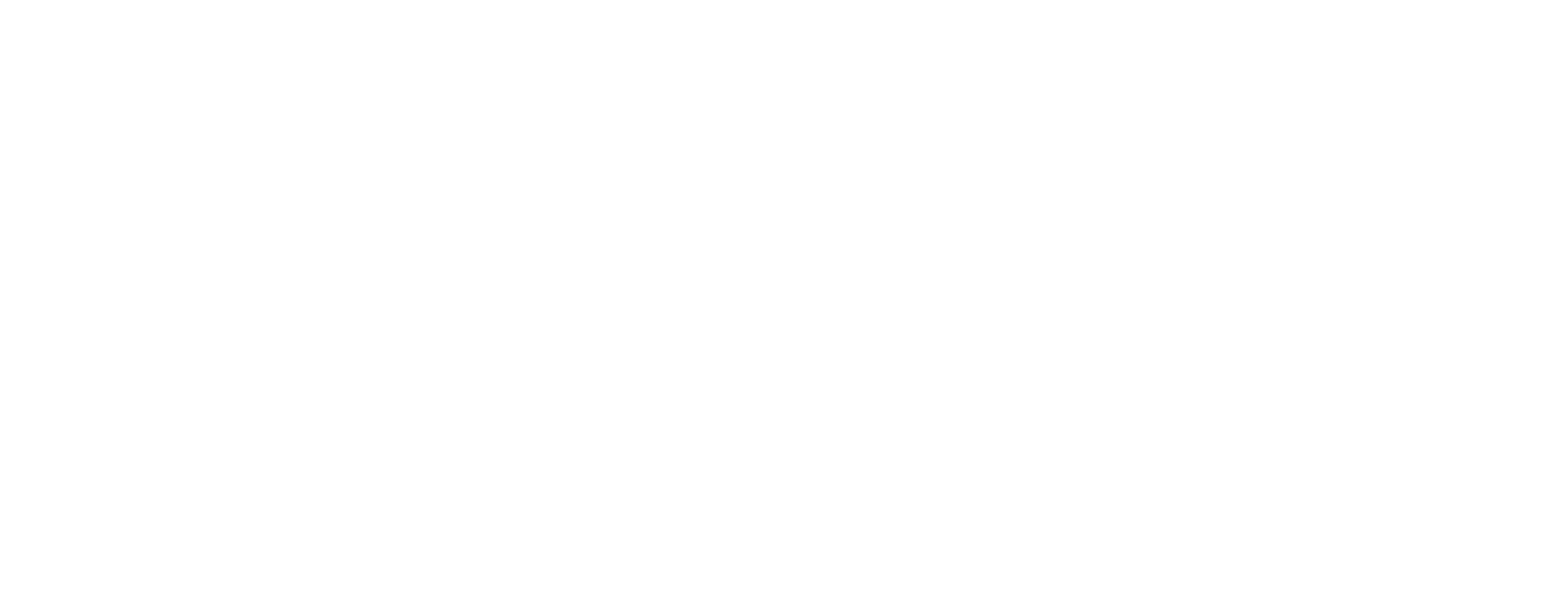 Bache Group